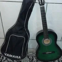 گیتار ب رنگ سفارشی