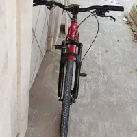دوچرخه گرگ