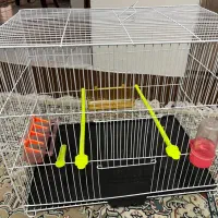 قفس پرنده|لوازم جانبی حیوانات|مشهد, امیریه|دیوار