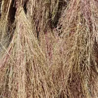 جارو محلی|لوازم نظافت|نورآباد, |دیوار