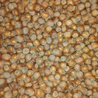 فندق|خوردنی و آشامیدنی|دیلمان, |دیوار