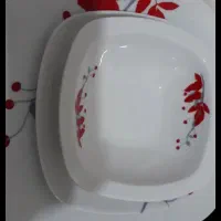 ظروف پذیرایی