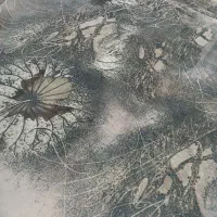 ۴عددچادرمجلسی|لباس|زابل, |دیوار