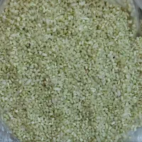 محصولات محلی لنجون|خوردنی و آشامیدنی|ایذه, |دیوار