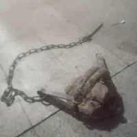 تله حیوانی بسیار قوی