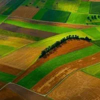 رهن۸۰من زمین دیم واسه کشت نخود