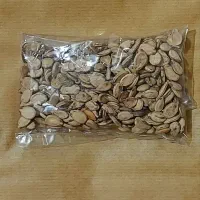 پخش تخمه زیر قیمت بازار کلی و جزئی