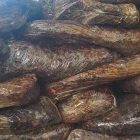 ضایعات خرما شیره ای