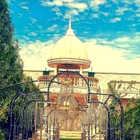 اجراصفرتاصدمراسم شمادر تالار عمارت