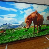 ال ای دی|تلویزیون و پروژکتور|مشهد, کشاورز|دیوار