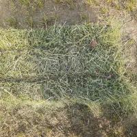 پرس یونجه چین ۴سنگین بدون علف با اب چاه .|حیوانات مزرعه|بروجرد, |دیوار