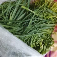 سبزی  خورشتی