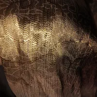 دو عدد پرده پذیرایی