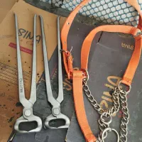 وسایل|اسب و تجهیزات اسب‌سواری|موچش, |دیوار