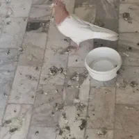 جفت اینو گم کردم