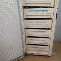 فریز هفت کشو