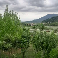 ویلاهنوساز۱۰۰متریدوخوابدربستدرماسال
