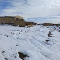 سمندسرون خشک