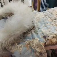 کاپشن دخترانه|لباس|شیروان (خراسان), |دیوار