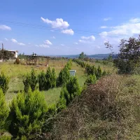 زمین 330متری ویو بی نظیر جنگل کوچه 8متری|فروش زمین و ملک کلنگی|بابکان, |دیوار