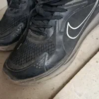 کفش‌نایک|کیف، کفش، کمربند|قم, شاه سید علی|دیوار