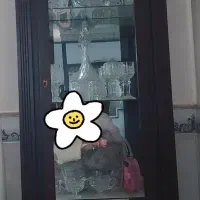 ویترین نو سالم بدون خط و خش