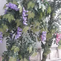 گل مصنوعی|گل مصنوعی|ارومیه, |دیوار