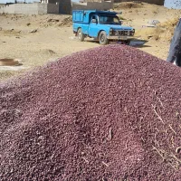 لوبیا سفید .قرمز .فروشی به صورت عمده