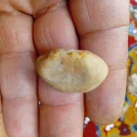 نمایش سنگ