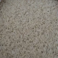 برنج اصیل شمال ایران