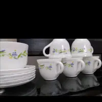 آرکوپال اصلی (فرانسه / امارات)