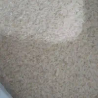 برنج هاشمی اصل دره رود