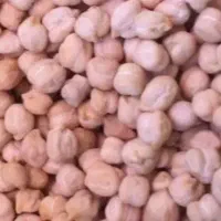 نوخود ارگانیک تازه