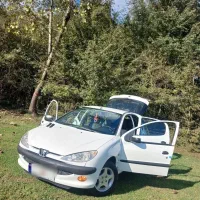 ۲۰۶ تیپ ۵  مدل ۹۳|خودرو کلاسیک|رشت, دباغیان|دیوار