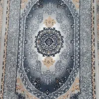 پادری نو