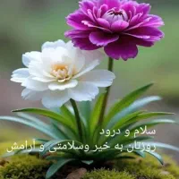 استخدامنیروی خدماتی