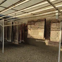 قالیشویی شهرری،کیانشهر،مسعودیه،افسریه،پیروزی
