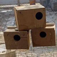 قفس کار کرده و۳عددلونه پرنده