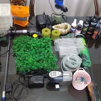 آکواریوم|ماهی|پرند, فاز ۶|دیوار