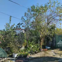 کارگر پرورش ماهی|استخدام صنعتی، فنی، مهندسی|تنکابن, |دیوار