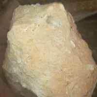 سنگ فسیل ماهی وصدف ماهی ۲۰۰۰ساله|کلکسیون اشیاء عتیقه|دلبران, |دیوار