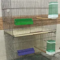 ۳ قفس واسه فروش ۱ کوچیک ۲ بزرگ تکی هم میفروشم|لوازم جانبی حیوانات|اهواز, پردیس دو|دیوار