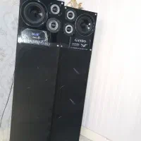 باند گاندو ب همراه کارتون