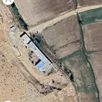 اجاره دامداری توافقی