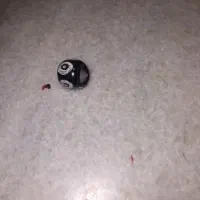مهره چشم اصل اصل