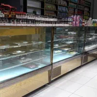 یخچال ایستاده مکعبی . قنادی. قصابی. پروتئینی|فروشگاه و مغازه|قدس, شهر‌قدس|دیوار