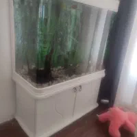اکواریوم95/150|ماهی|تهران, جنتآباد مرکزی|دیوار