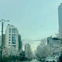 فرمانیه-شرقی-160-متر-تاپ-لوکیشن