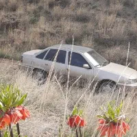 دوو سیلو مدل ۸۱