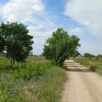 کردان/۱۰۰۰ m/داخل بافت/فرصت بدون تکرار/بافت مسکونی